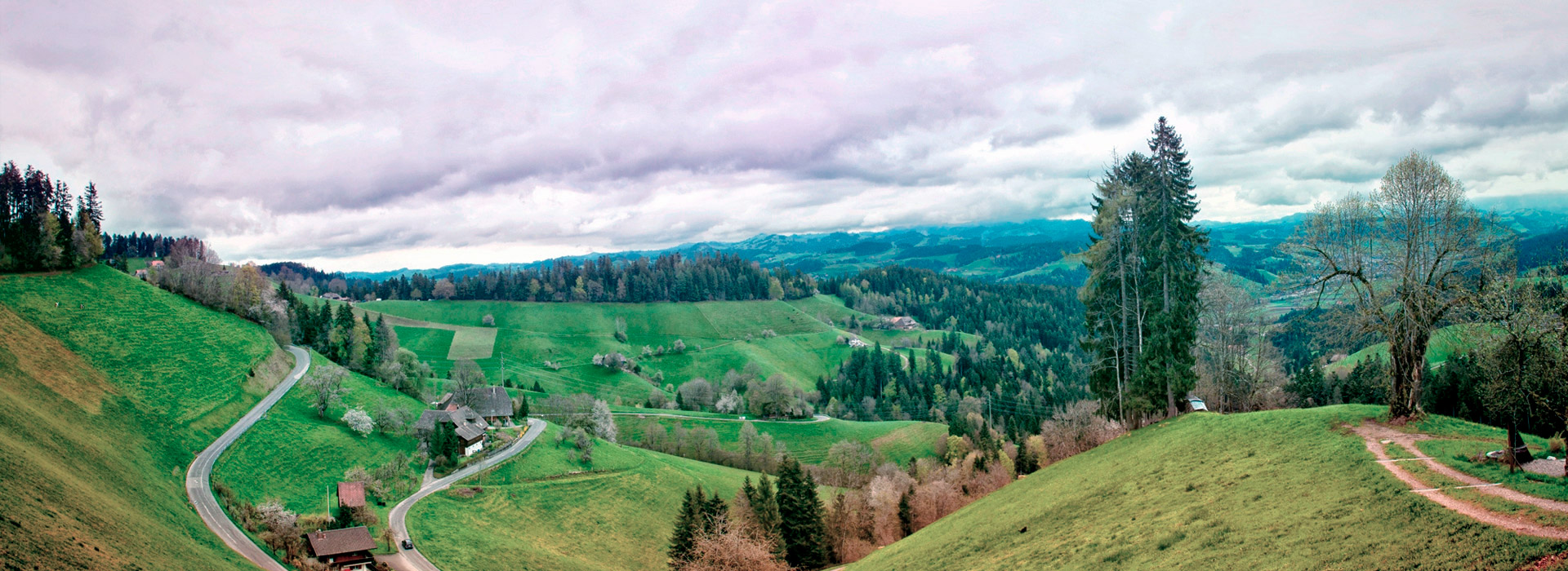 云呼叫中心系统